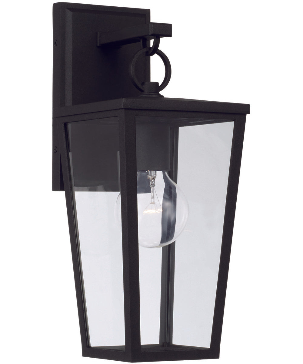 Elliott 1-Light Outdoor Wall-Lantern Rain or Shine - Black