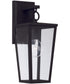 Elliott 1-Light Outdoor Wall-Lantern Rain or Shine - Black