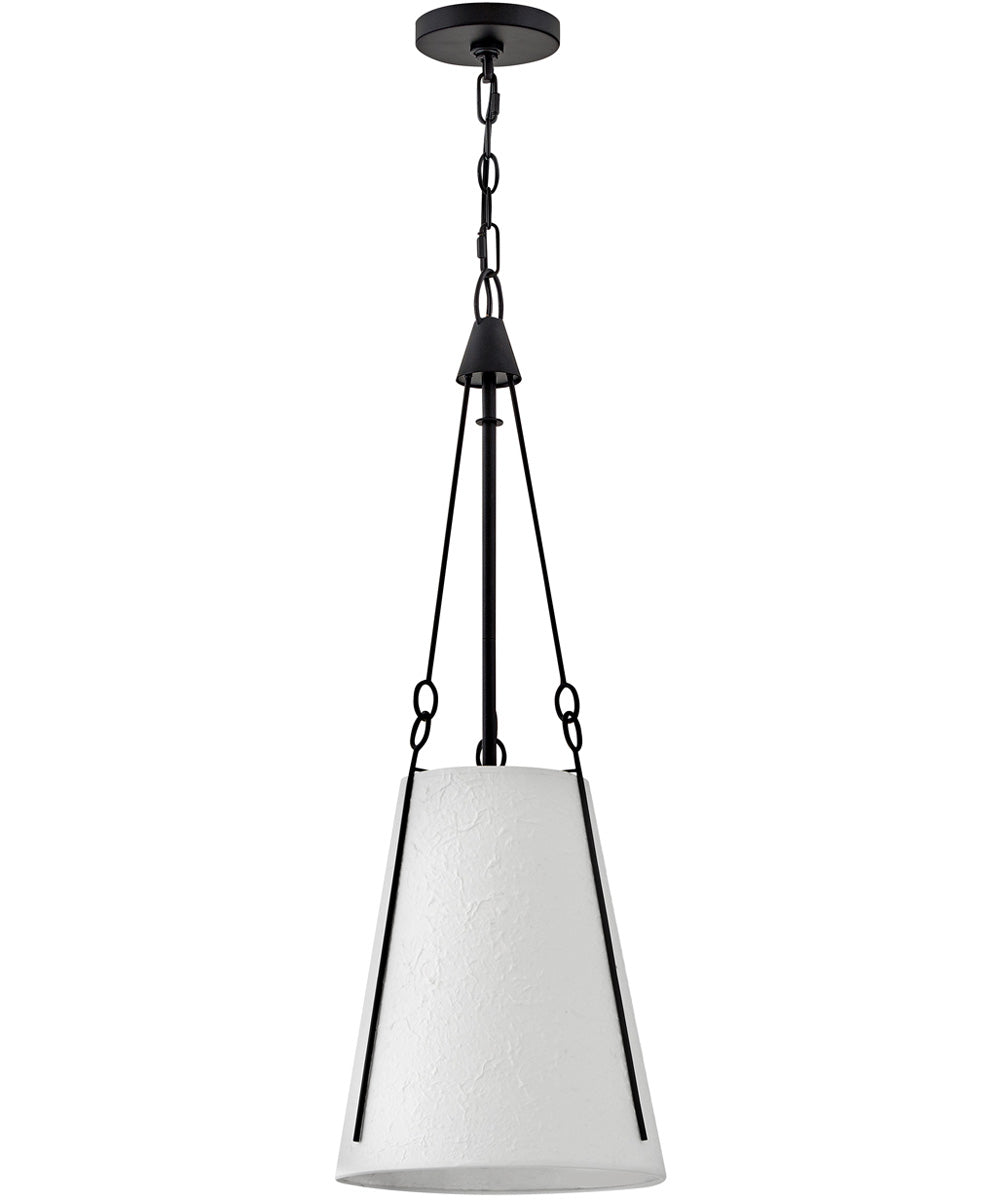 Danvers 1-Light Small Pendant in Black