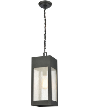 Angus 1-Light Outdoor Pendant Charcoal/Seedy Glass Enclosure