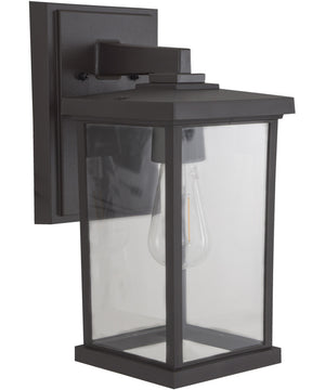 Resilience Lanterns 1-Light Outdoor Lantern Bronze