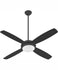 Ceiling Fans and Accessories