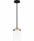 Rowland Small 1-light Mini Pendant Matte Black