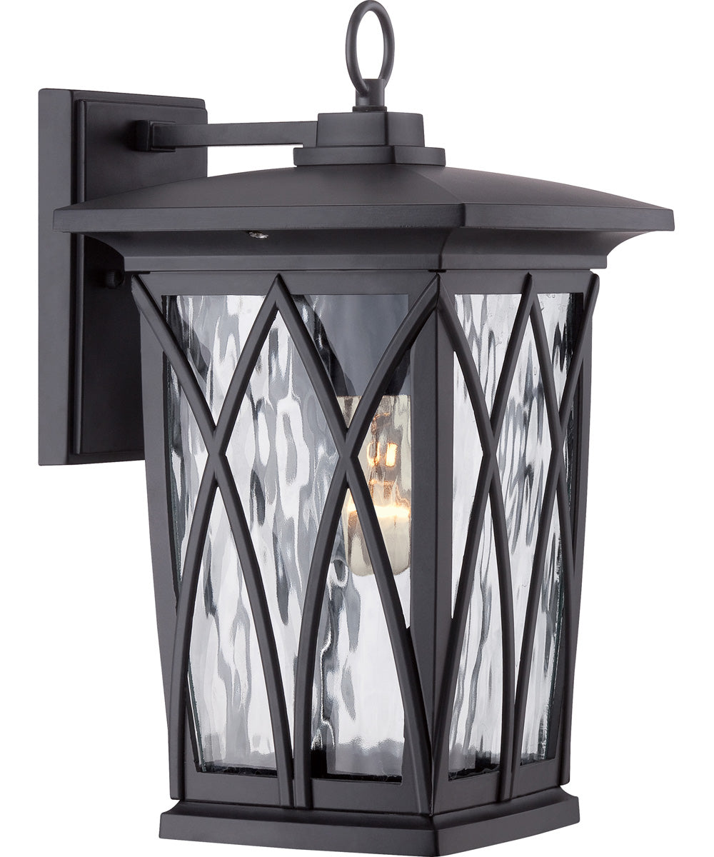 Grover Medium 1-light Outdoor Wall Light Mystic Black
