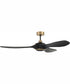 60" Envy 1-Light Indoor/Outdoor Ceiling Fan Flat Black/Satin Brass
