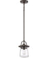 LaSalle Small 1-light Mini Pendant Western Bronze