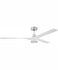 Ceiling Fans and Accessories