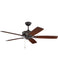 Ceiling Fans and Accessories