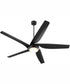 65" Fury Ceiling Fan Matte Black