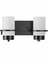 Reiss 2-Light Modern Farmhouse Vanity Light Matte Black