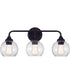 Glenda 3-Light Vanity Flat Black