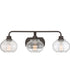 Trilogy Large 3-light Bath Light Old Bronze