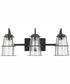 Sapelo 3-Light Vanity Bronze
