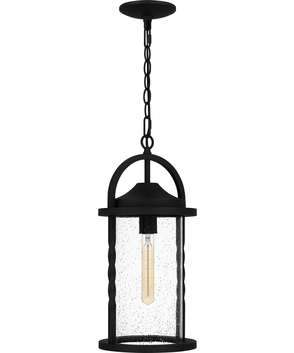 Reece Large 1-light Outdoor Pendant Light  Coastal Armour Aluminum Earth Black