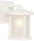 Resilience Lanterns 1-Light Outdoor Wall Lantern Matte White