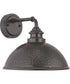 Englewood 1-Light Medium Wall Lantern Antique Bronze