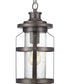 Haslett 1-Light Hanging Lantern Antique Pewter