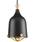 Era 1-Light Gold Global Pendant Light Matte Black