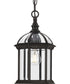 Dillard 1-Light Traditional Clear Glass Outdoor Hanging Light Antique Bronze