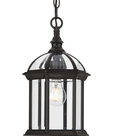 Dillard 1-Light Traditional Clear Glass Outdoor Hanging Light Antique Bronze