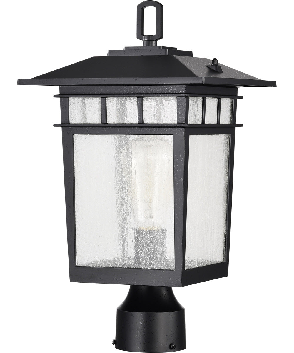Cove Neck 1-Light Outdoor Textured Black