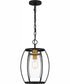 Thyme 1-light Mini Pendant Earth Black