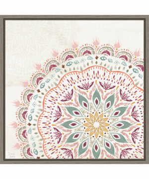 Framed Boho Garden IX by Dina June Canvas Wall Art Print (22  W x 22  H), Sylvie Greywash Frame