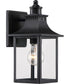 Chancellor Small 1-light Outdoor Wall Light Mystic Black