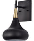 Phoenix 1-Light Vanity & Wall Matte Black / Burnished Brass