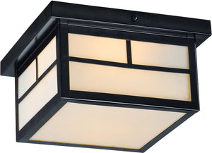 9"W Coldwater 2-Light Outdoor Ceiling Mount Black