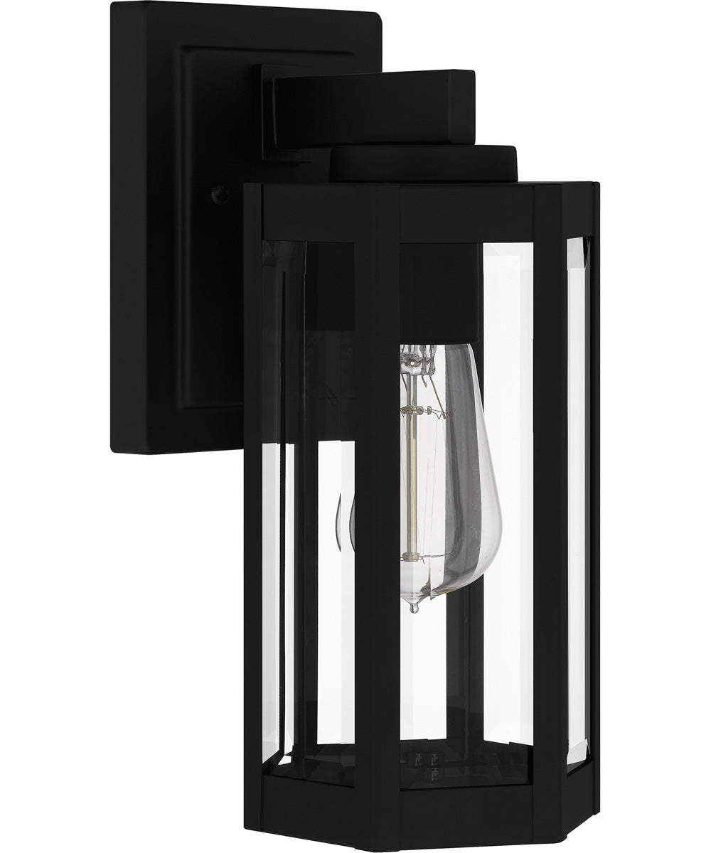 Mesnick Small 1-light Outdoor Wall Light Matte Black