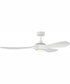 60" Envy 1-Light Indoor/Outdoor Ceiling Fan White