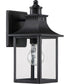 Chancellor Small 1-light Outdoor Wall Light Mystic Black