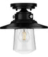 Tremont 1-Light Clear Seeded Glass Farmhouse Style Ceiling Light Matte Black