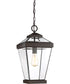 Ravine Large 1-light Outdoor Pendant Light Western Bronze