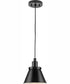 Hinton 1-Light Modern Farmhouse Pendant Matte Black