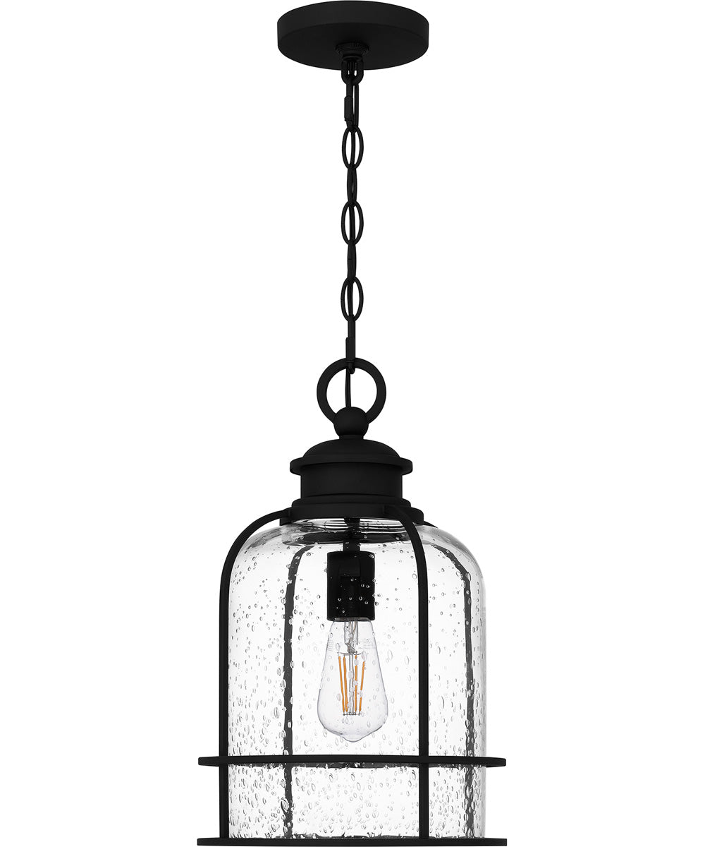 Bowles Large 1-light Outdoor Pendant Light Earth Black
