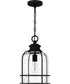 Bowles Large 1-light Outdoor Pendant Light Earth Black