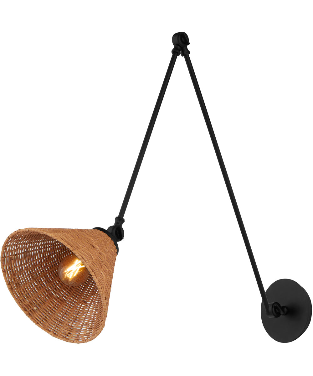 1-light Wall Mount Light Fixture Matte Black