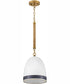 Nash 1-Light Small Pendant in Heritage Brass with Black accents