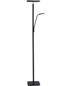 Hector 2-Light Led Torch/Reading Combo Lamp Black