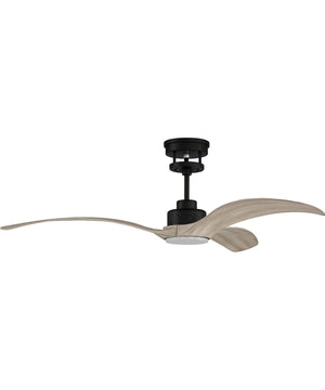 Mesmerize 1-Light Specialty Ceiling Fan (Blades Included) Flat Black