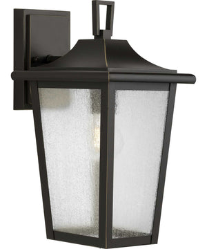 Padgett 1-Light Transitional Clear Seeded Glass Outdoor Wall Lantern Antique Bronze