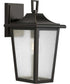 Padgett 1-Light Transitional Clear Seeded Glass Outdoor Wall Lantern Antique Bronze