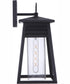 Becca 1-Light Outdoor Wall Lantern Matte Black