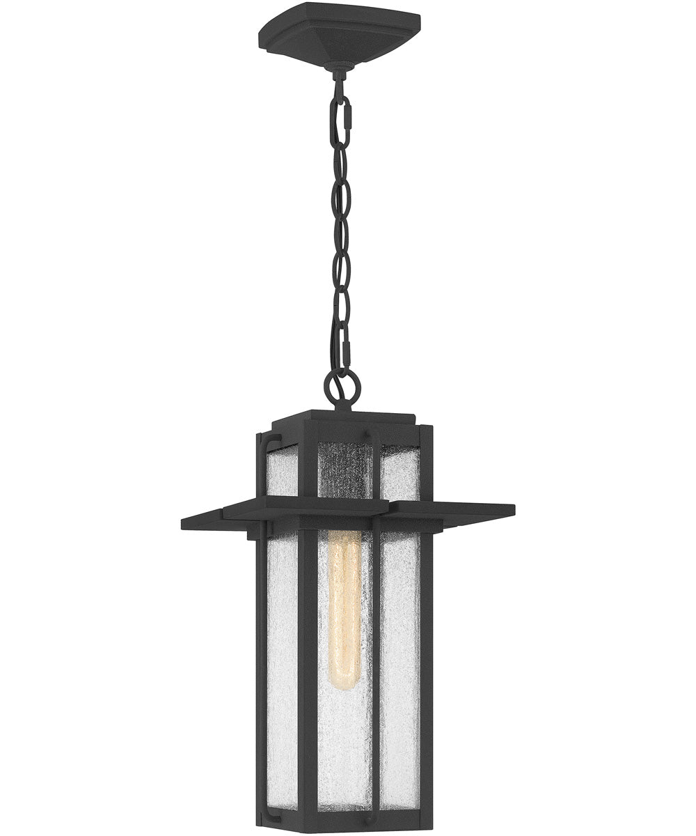 Randall Small 1-light Mini Pendant Coastal Armour Aluminum Mottled Black