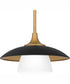 Fayette 1-light Mini Pendant Earth Black