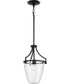Parkhurst 1-Light New Traditional Clear Glass Mini-Pendant Light Matte Black