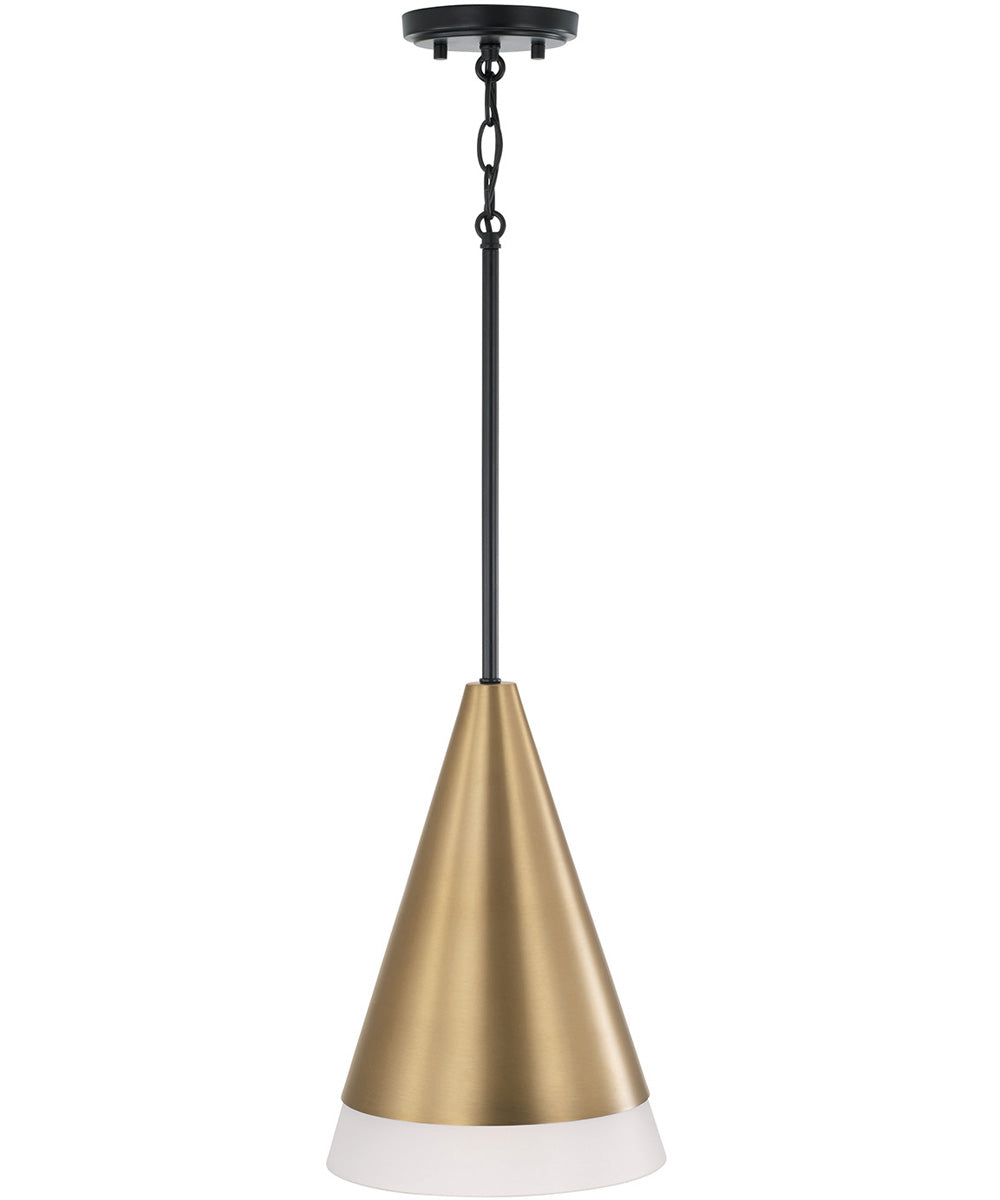 Avant 1-Light Pendant Aged Brass and Black