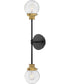 Poppy 2-Light Two Light Sconce in Black